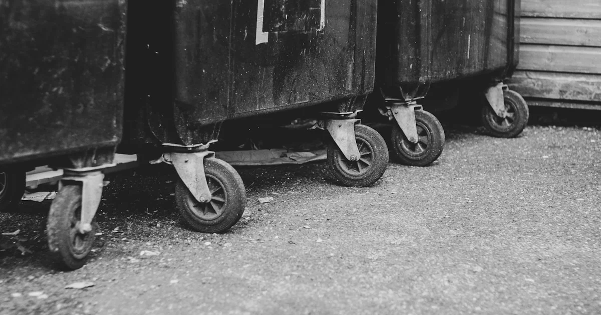 Black residential wheeled bin at the curb showing where bacteria accumulate on interior walls and base of the bin.