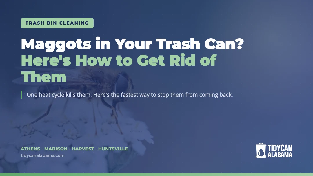 Maggots in Your Trash Can? How to Get Rid of Them. TidyCan Alabama featured card